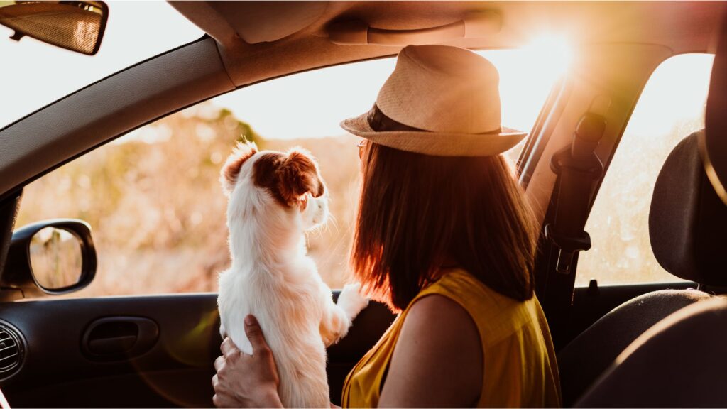 National Make a Dog’s Day with Subaru: Because Every Pup Deserves Love National Make a Dog’s Day with Subaru: Because Every Pup Deserves Love - Featured Image