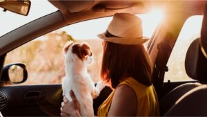 National Make a Dog’s Day with Subaru: Because Every Pup Deserves Love