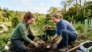 World Environment Day: How Small Environmental Actions Can Create Lasting Change